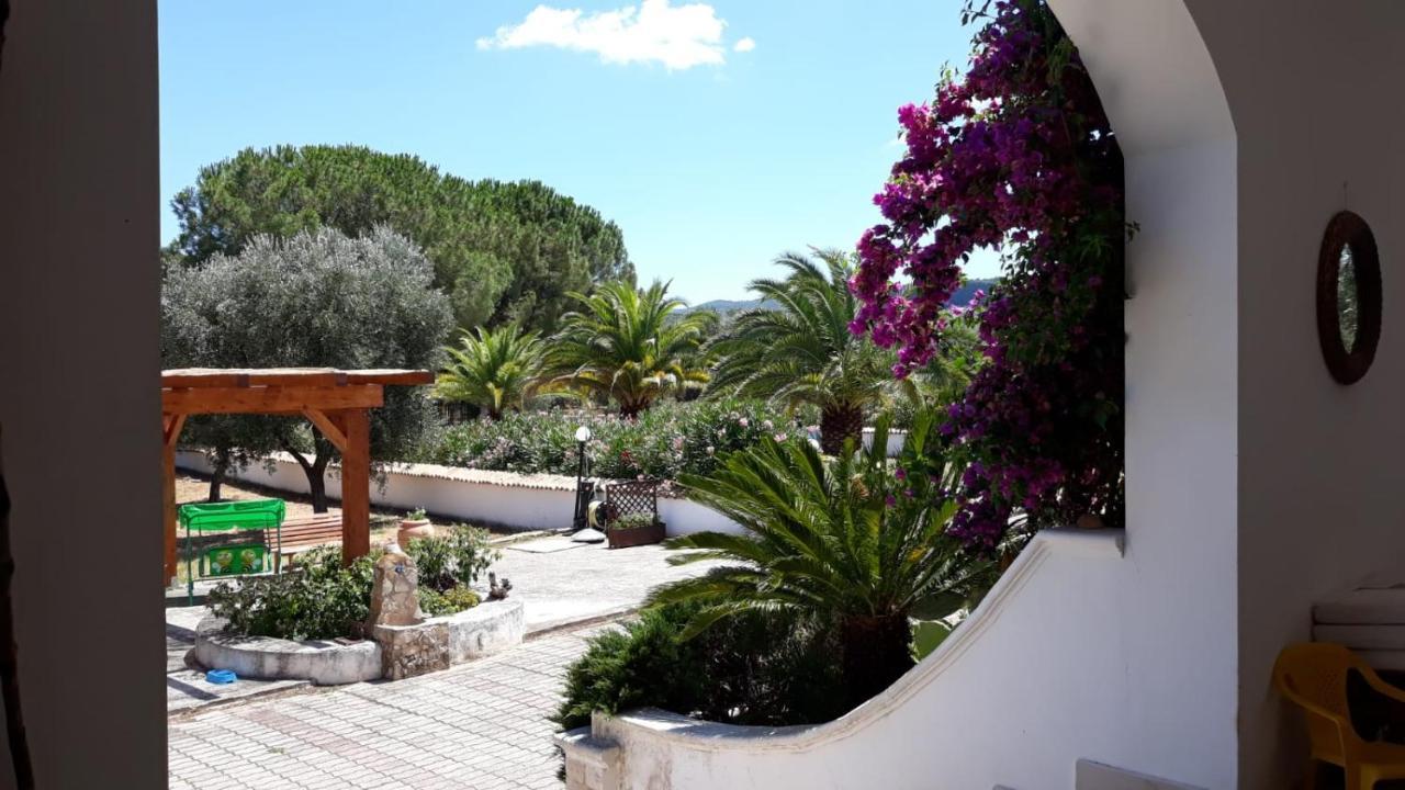 Villa Cristalda Vieste Exterior foto